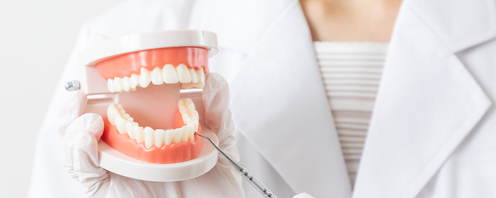 予防・メンテナンス